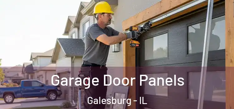  Garage Door Panels Galesburg - IL
