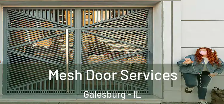 Mesh Door Services Galesburg - IL