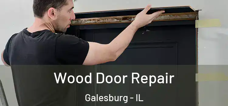 Wood Door Repair Galesburg - IL